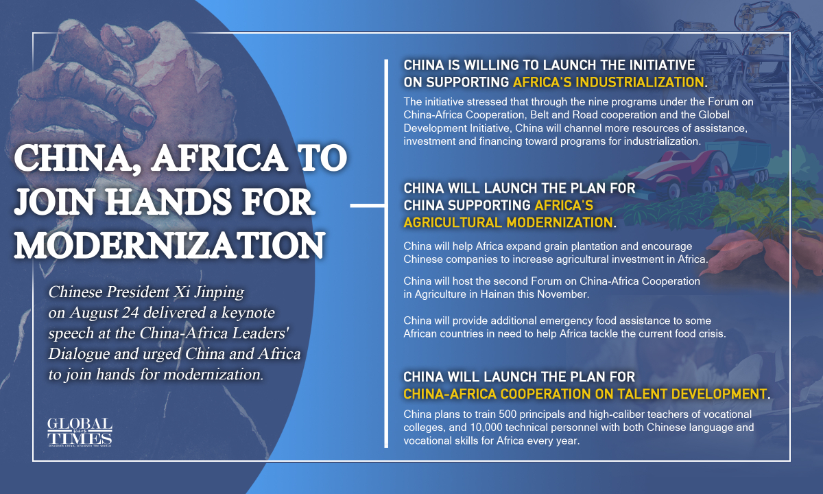 Chinese President Xi Jinping urges China, Africa to join hands for modernization. Graphic:GT