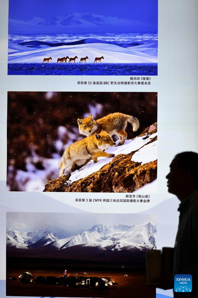 A participant is seen at the venue of the second National Park Forum held in Xining, capital of northwest China's Qinghai Province, Aug. 19, 2023. Themed National Park -- Beautiful Homeland of Harmonious Coexistence, the second National Park Forum was held here on Saturday. Photo: Xinhua