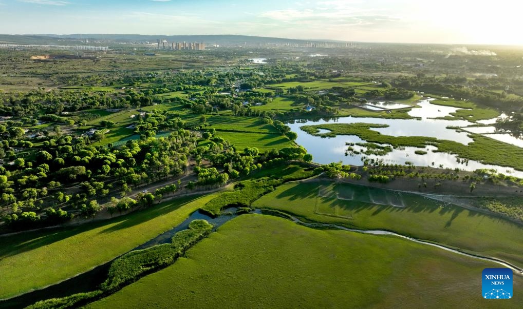 This aerial photo taken on Aug. 18, 2023 shows a view of Luhe River in Jingbian County, Yulin City of northwest China's Shaanxi Province. Luhe River, dubbed a mother river in Jingbian County, plays an important role in agricultural production in northern Shaanxi.(Photo: Xinhua)