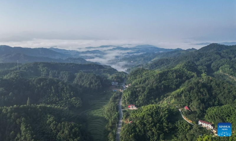 This aerial photo taken on Aug. 23, 2023 shows mountain scenery in Manshuihe Town of Lu'an City, east China's Anhui Province.(Photo: Xinhua)