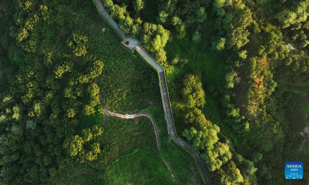 This aerial photo taken on Aug. 23, 2023 shows the scenery of Hushan section of the Great Wall in Dandong City, northeast China's Liaoning Province.(Photo: Xinhua)