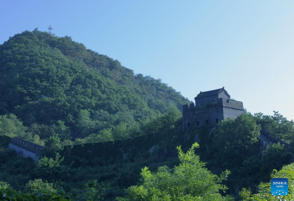 This photo taken on Aug. 23, 2023 shows the scenery of Hushan section of the Great Wall in Dandong City, northeast China's Liaoning Province.(Photo: Xinhua)