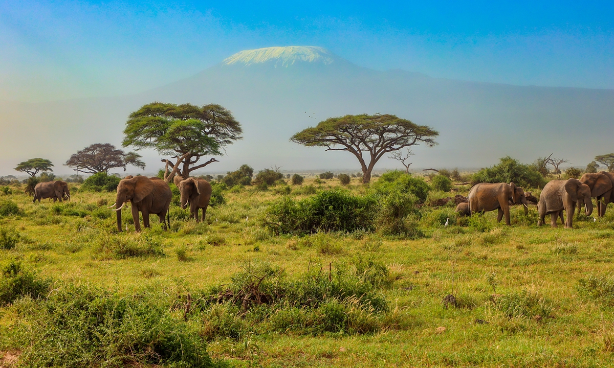 Scenery in Kenya Photo: VCG