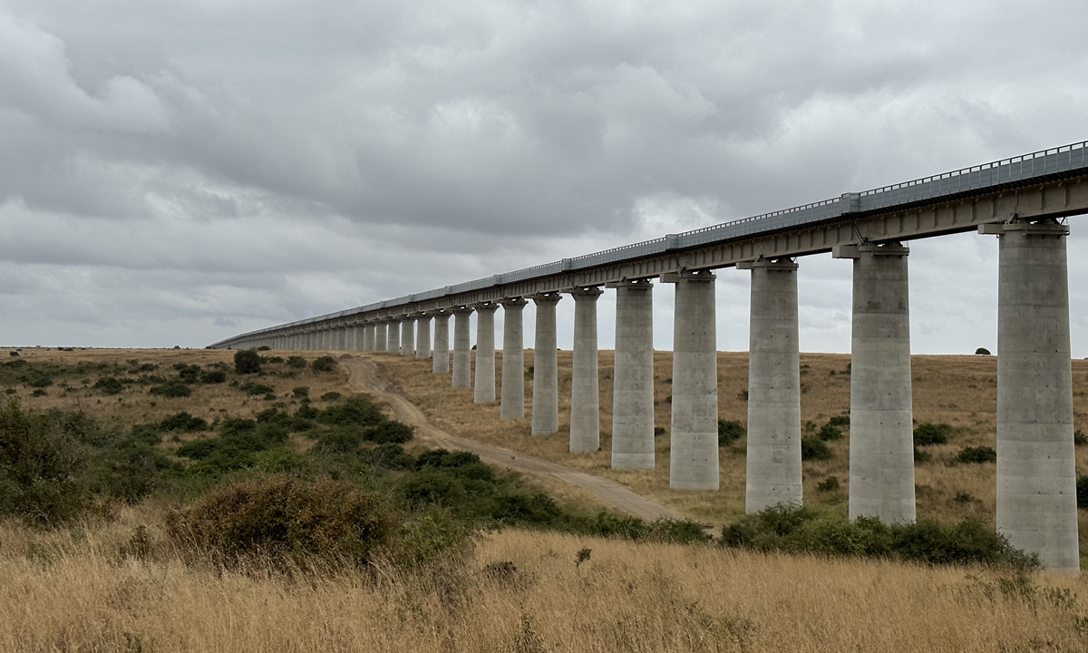A view of the bridge where Mombasa-Nairobi SGR passes through the Nairobi National Park in Nairobi, Kenya, on August 6, 2023 Photo: Tu Lei/GT