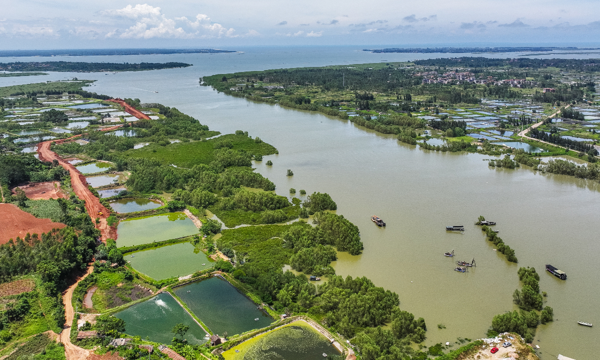 An aerial photo of the Jiulongshan Mangrove Wetland Park in Zhanjiang, South China’s Guangdong Province, on July 22, 2023. Photo: IC