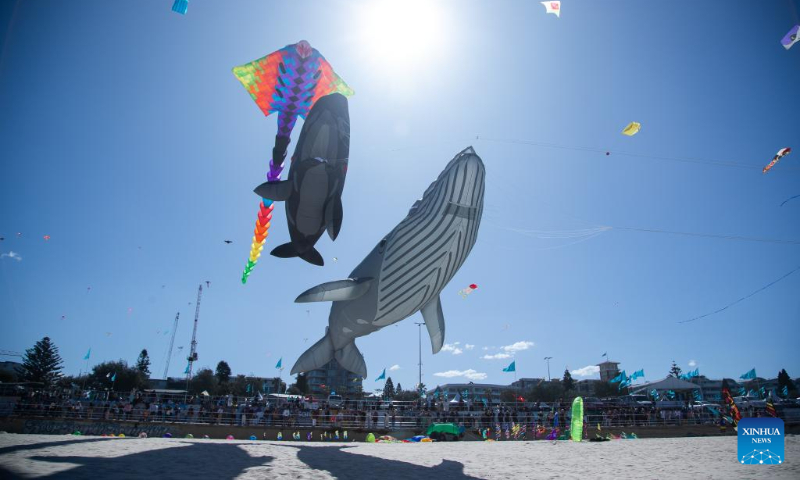 People fly kites at Bondi Beach in Sydney, Australia, Sept. 10, 2023. Kite lovers flocked to Sydney's famous Bondi Beach on Sunday for Australia's annual kite festival, the Festival of the Winds. (Photo by Hu Jingchen/Xinhua)