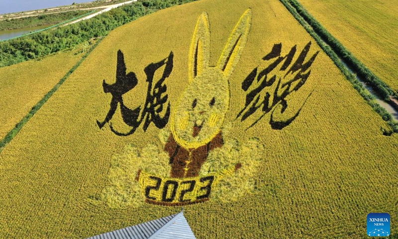 This aerial photo taken on Sept. 6, 2023 shows an art creation made up of living plants of different colors in a paddy field in Tai'an County of Anshan City, northeast China's Liaoning Province.(Photo: Xinhua)