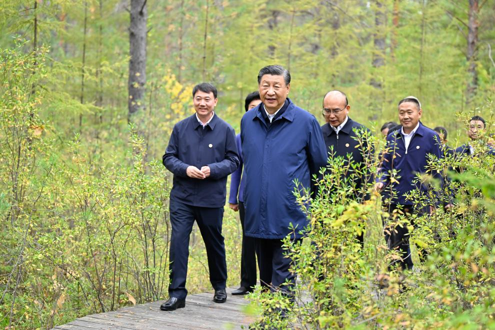 General Secretary of the Communist Party of China Central Committee Xi Jinping, also Chinese president and chairman of the Central Military Commission, inspects a forest farm in Mohe in the Dahinggan Mountains, northeast China's Heilongjiang Province, Sept. 6, 2023. Xi inspected northeast China's Heilongjiang Province from Wednesday to Friday. Photo: Xinhua