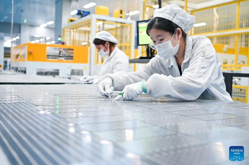 Staff members work at a workshop of a photovoltaic technology company in Yancheng, east China's Jiangsu Province, Sept. 6, 2023. Yancheng has boosted green and low-carbon development by advancing new energy industries such as wind and photovoltaic power in recent years. Photo: Xinhua