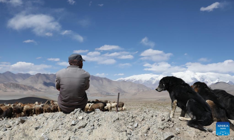 Sheepherder Kurbanali Matsayin and his sheepdogs herd sheep at the foot of Mount Muztagata on the Pamir Plateau, northwest China's Xinjiang Uygur Autonomous Region, Sept. 6, 2023. Photo: Xinhua