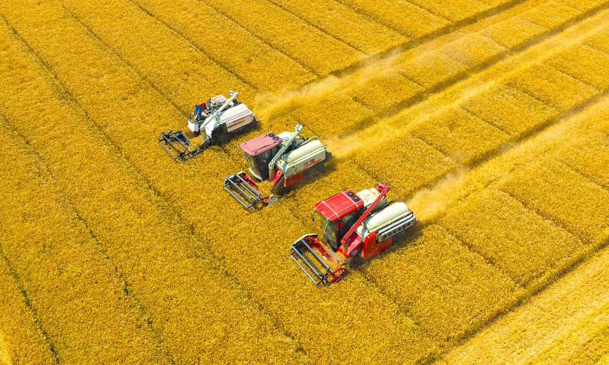 Grain harvest Photo: CFP