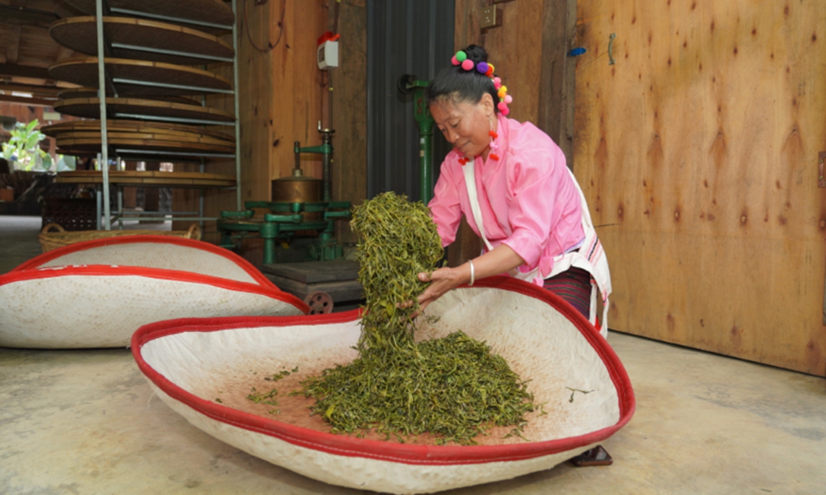 A woman rolls tea leaves in Mangjing village on Jingmai Mountain, Pu'er, Southwest China's Yunnan Province, in early September. The Cultural Landscape of Old Tea Forests of Jingmai Mountain was inscribed onto the UNESCO World Heritage list on Sunday 