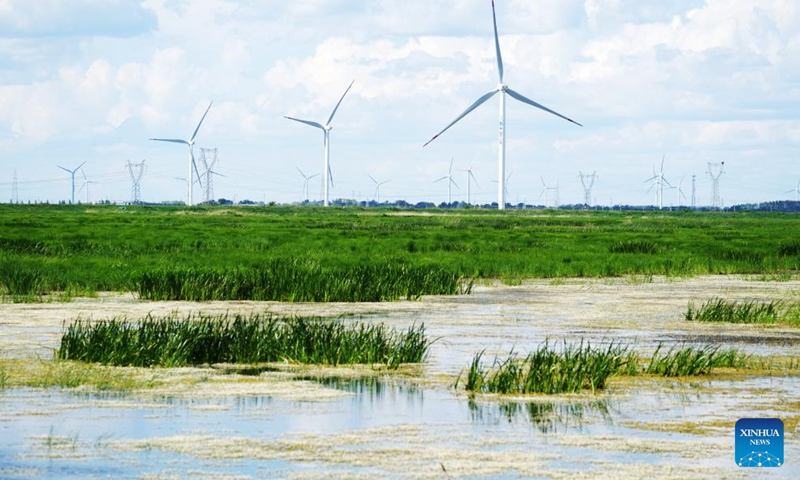 This photo taken on June 16, 2022 shows a wind farm in Qiqihar City, northeast China's Heilongjiang Province. In recent years, the three northeastern provinces of Liaoning, Jilin, and Heilongjiang have sped up the development of clean energy generation such as wind power, photovoltaic power and biomass power generation. This is of great significance for ensuring safe and reliable power supply, accelerating clean energy transition and low-carbon development, and promoting the full revitalization of northeast China. (Xinhua)