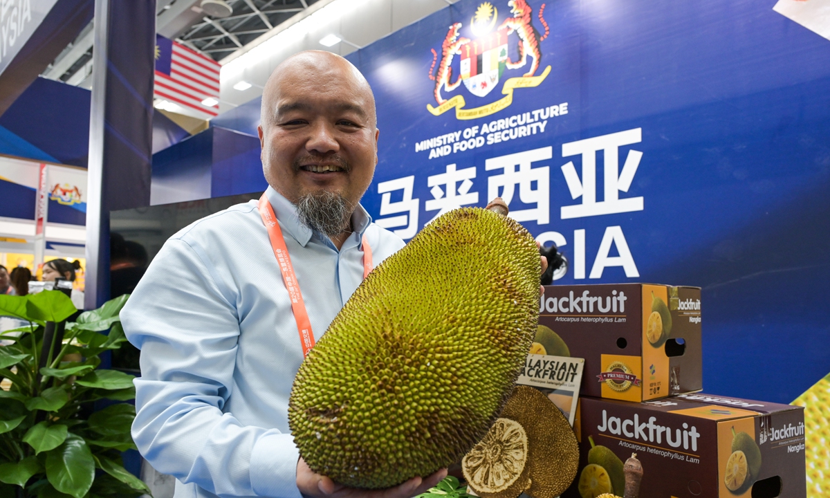 An exhibitor showcases a jackfruit transported from Malaysia at the 20th China-ASEAN Expo in Nanning on September 17, 2023. This is the first appearance of Malaysian jackfruit in China since the two countries finalized a deal in April, making Malaysia the third country, after Thailand and Vietnam, to gain access to the Chinese market for fresh jackfruit. Photo: Chen Tao/GT