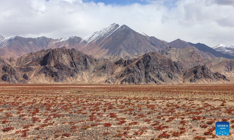 This photo taken on Sept. 11, 2023 shows the scenery of a desert and snow mountains at the Altun Mountains National Nature Reserve in northwest China's Xinjiang Uygur Autonomous Region. With an average altitude of 4,580 meters, the Altun Mountains National Nature Reserve covers a total area of 45,000 square kilometers and is a representative of plateau desert ecosystem in China. (Photo: Xinhua)
