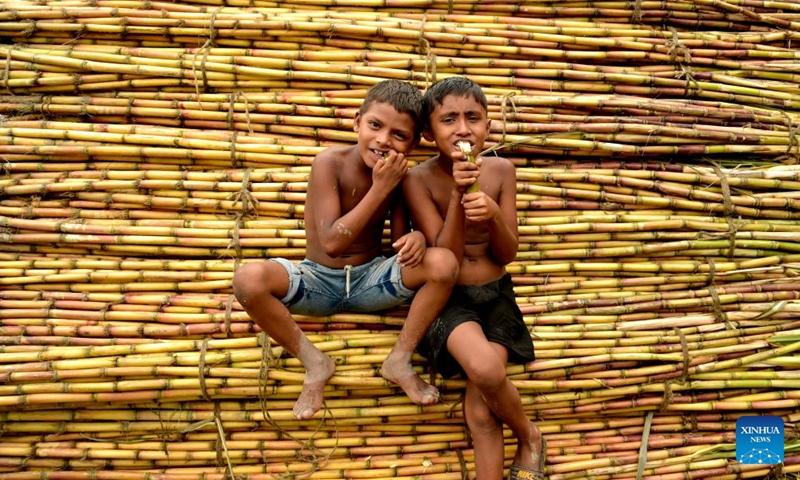 Two children eat sugarcane at a market in Dhaka, Bangladesh, Sept. 19, 2023. The early harvest of sugarcane has been in full swing in parts of Bangladesh with the harvesting season extending from September to March next year.(Photo: Xinhua)