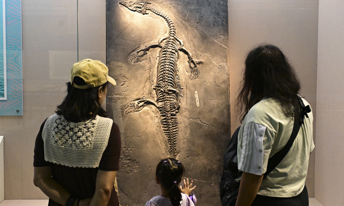 Visitors stand in front of an ichthyosaurus fossil at the National Natural History Museum of China, Beijing, on September 19, 2023. A special exhibition, The Marine World of the Triassic in Guizhou, is on display at the museum, featuring 50 fossilized ichthyosaur specimens unearthed in Southwest China's Guizhou Province. Photo: VCG
