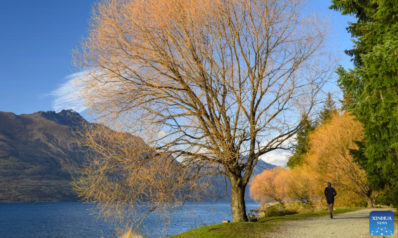 A man jogs by a lake in Queenstown, New Zealand, Sept. 28, 2023. New Zealand witnesses an influx of Chinese tourists during this year's Mid-Autumn Festival and National Day holiday period. (Xinhua/Guo Lei)