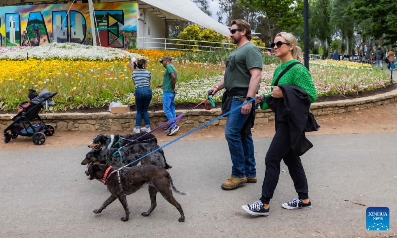 People and their dogs attend 