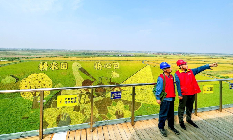 Staff checking the paddy field painting site.