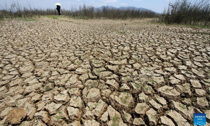 A man walks near the dried-up bed in Gajah Mungkur reservoir during dry season in Gebang village of Wonogiri district, Central Java, Indonesia, Sept. 20, 2023.(Photo: Xinhua)