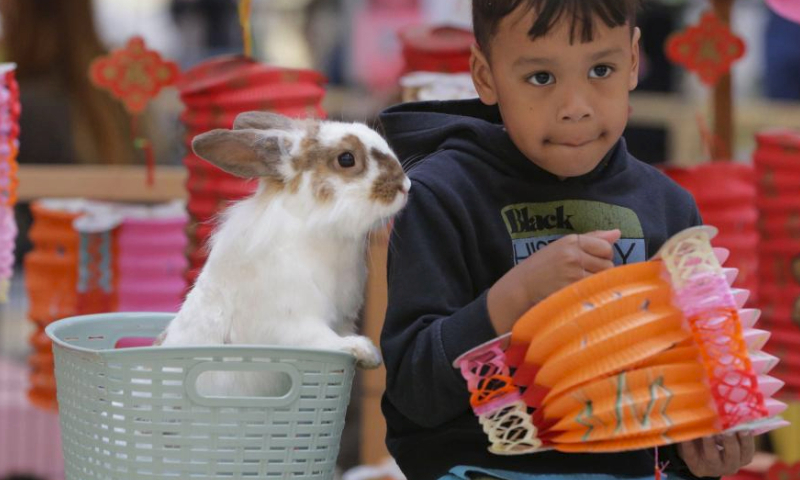 A child poses for photos with a rabbit during the Meet the Bunnies under the Moon event at the Lansdowne Centre in Richmond, British Columbia, Canada, on Sept. 23, 2023. The two-day family-friendly event kicked off here in Richmond on Saturday, featuring a meet and treat interaction with bunnies rescued by a local animal charity in celebration of the upcoming Mid-Autumn Festival. (Photo by Liang Sen/Xinhua)