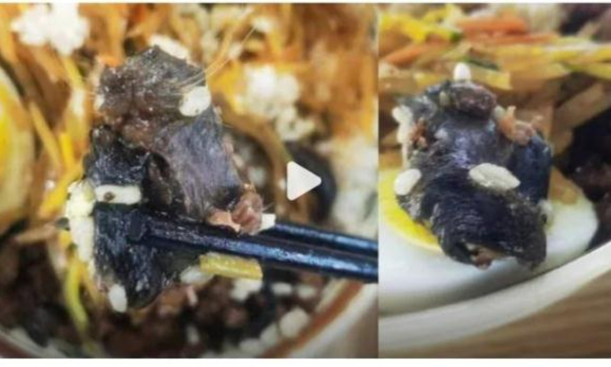 A netizen revealed that suspected rat heads were eaten in meals in the school canteen of North China University of Science and Technology, which attracted widespread attention and renewed public concern over food safety, especially on school campuses. Photo: the Paper 