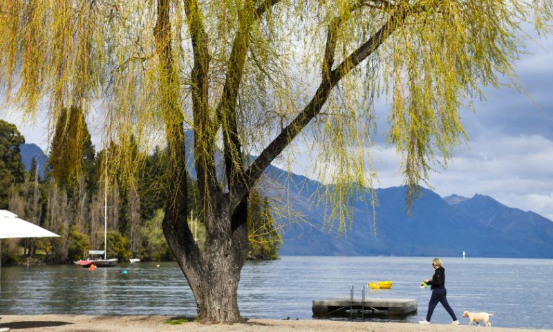 A woman strolls by a lake in Queenstown, New Zealand, Sept. 28, 2023. New Zealand witnesses an influx of Chinese tourists during this year's Mid-Autumn Festival and National Day holiday period. (Xinhua/Guo Lei)