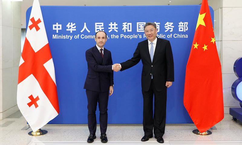 Chinese Commerce Minister Wang Wentao (right) meets with Georgia’s Vice Prime Minister and Minister of Economy and Sustainable Development Levan Davitashvili in Beijing on Monday. Photo: mofcom.gov.cn