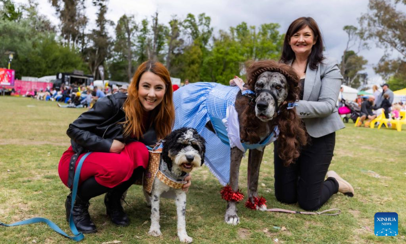 People and their dogs attend 