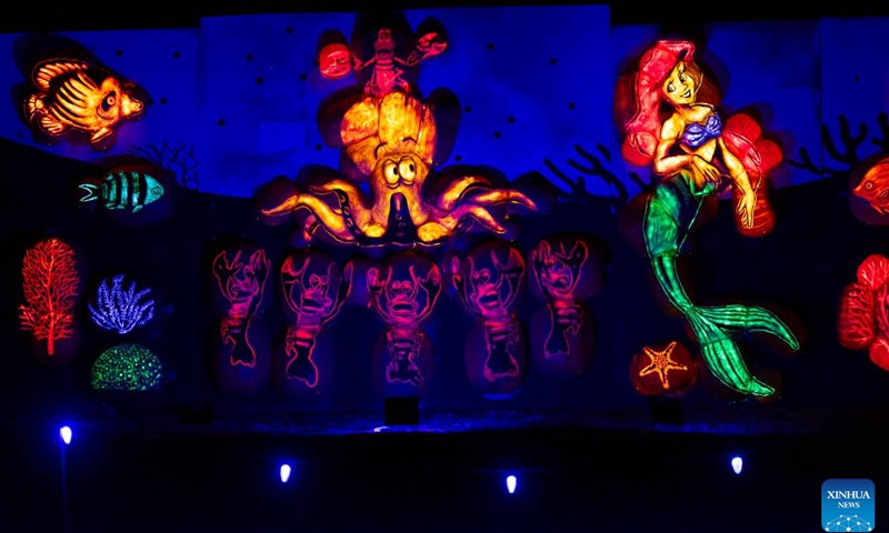 A pumpkin carving is seen during the 2023 Pumpkins After Dark event in Milton, Ontario, Canada, on Sept. 23, 2023. Featuring over 10,000 hand-carved pumpkins, the annual Canada's outdoor Halloween event is held here from Sept. 23 to Oct. 31. (Photo by Zou Zheng/Xinhua)