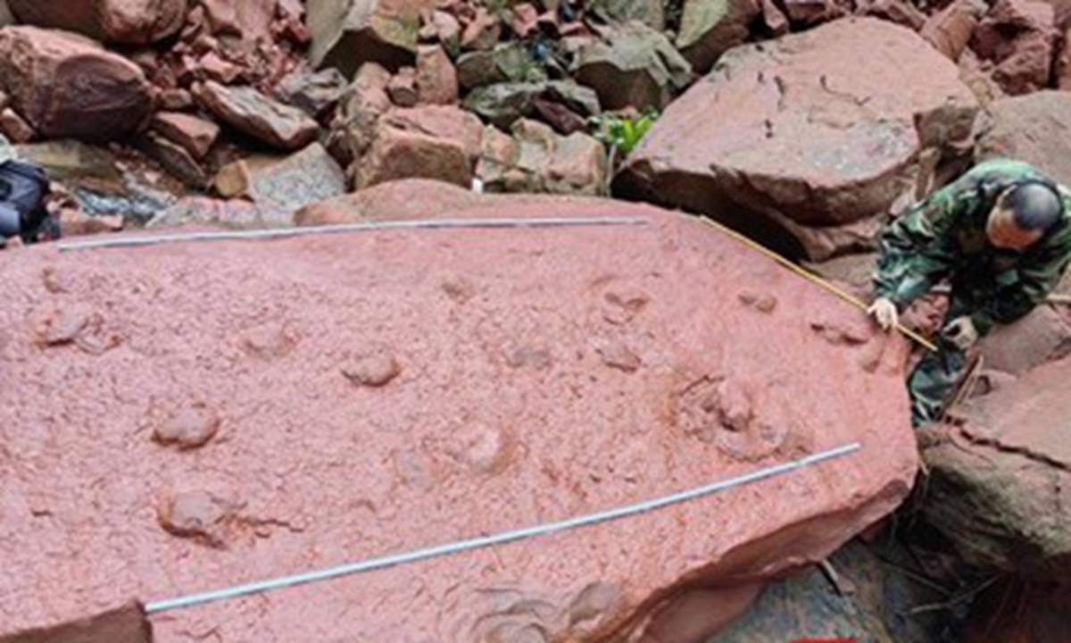Tracks of a Dromaeosaurus and a very rare sauropod dinosaur were discovered in Luzhou, Southwest China's Sichuan Province. Photo: Fengmian News