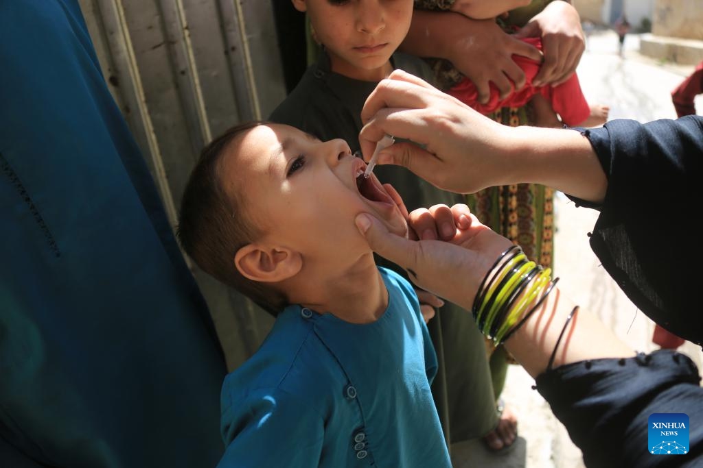 A child receives a dose of anti-polio vaccine in Kabul, Afghanistan, Sept. 25, 2023. Afghanistan's Ministry of Public Health on Monday launched a nationwide anti-polio campaign in the war-ravaged country. During the four-day campaign, 11 million children under five will receive doses of the anti-polio vaccine for immunization as part of the country's efforts to eradicate the crippling disease among children, it said in a press release.(Photo: Xinhua)