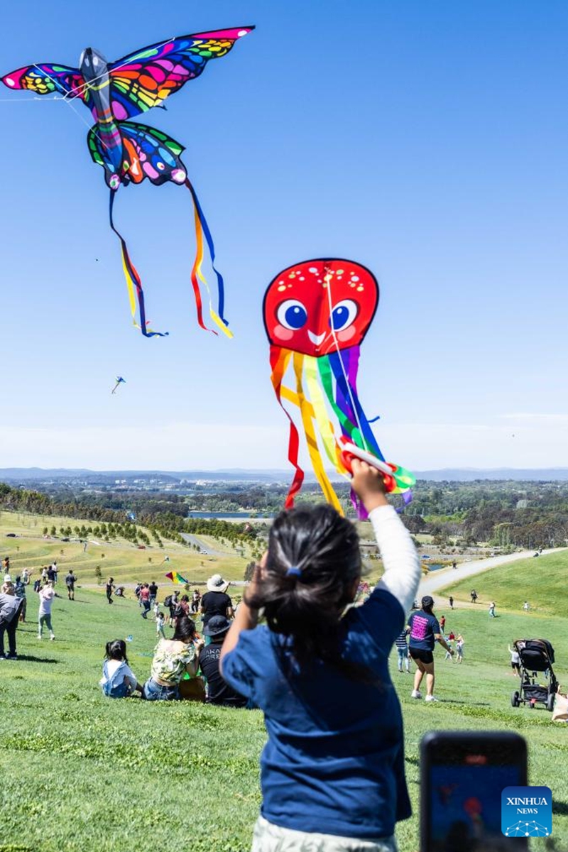 A girl flies a kite during the Kite Fest at the National Arboretum Canberra in Canberra, Australia, Oct. 1, 2023. The National Arboretum Canberra held its yearly Kite Fest in Canberra on Sunday. Visitors can enjoy a variety of events such as pop-up food options, kite-making workshops, kite demonstrations, live entertainment and picnic. (Photo by Chu Chen/Xinhua)