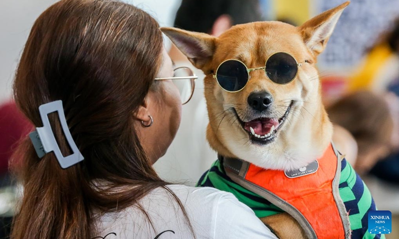 A pet dog dressed in a colorful costume is seen during a World Animal Day event at a mall in Pasay City, the Philippines, Oct. 1, 2023. The World Animal Day is celebrated each year on Oct. 4. Photo: Xinhua