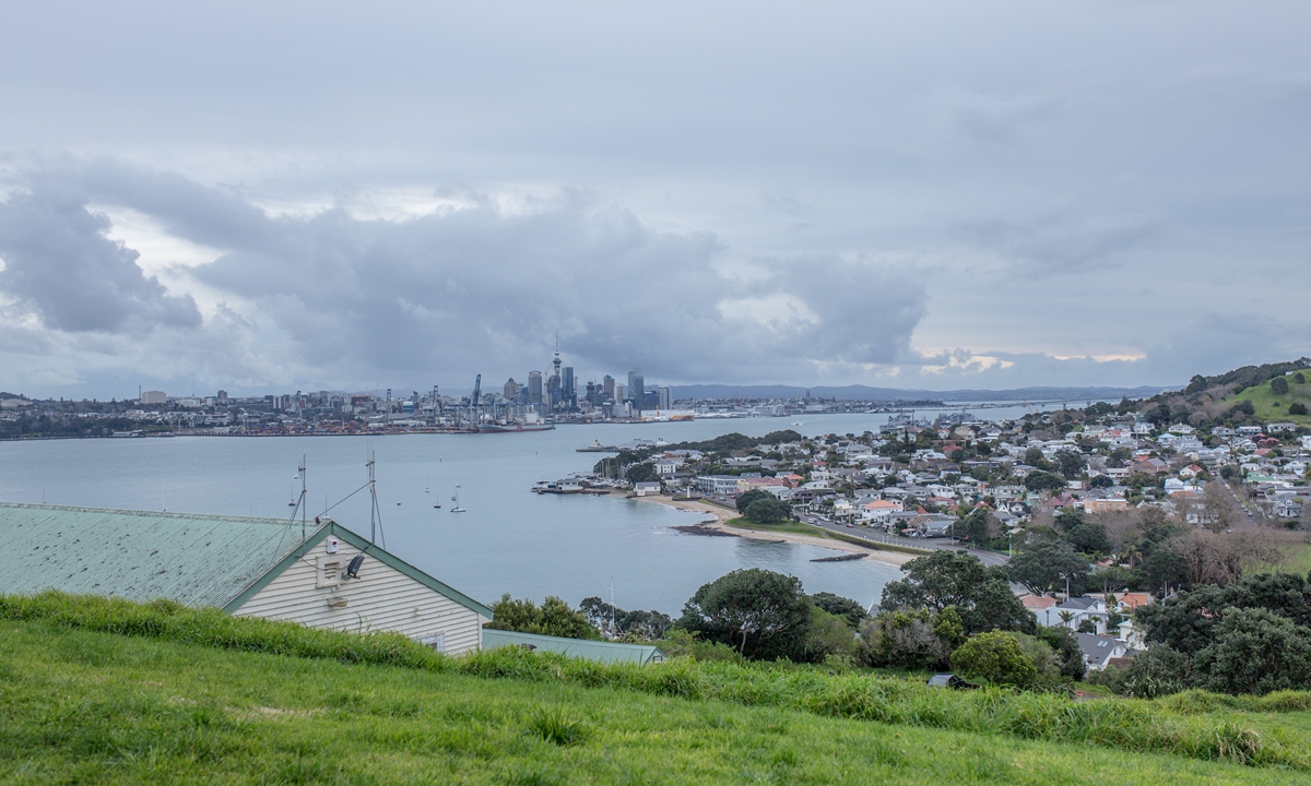 City view of Auckland,<strong>automatic cold oil press machine manufacturer</strong> New Zealand Photo: Shan Jie/GT