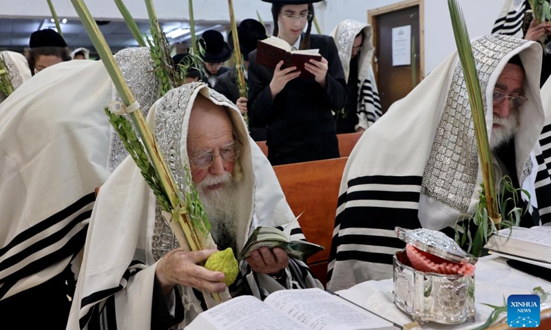 Ultra-orthodox Jews take part in the Hoshana Raba ritual at the end of the week-long Sukkot at a synagogue in Rehovot, Israel, on Oct. 6, 2023. The Sukkot, or Feast of Tabernacles, falling from sunset of Sept. 29 to sunset of Oct. 6 this year, is a biblical week-long holiday that recollects the 40 years of travel in the desert after the Exodus from slavery in Egypt. (Photo by Gil Cohen Magen/Xinhua)