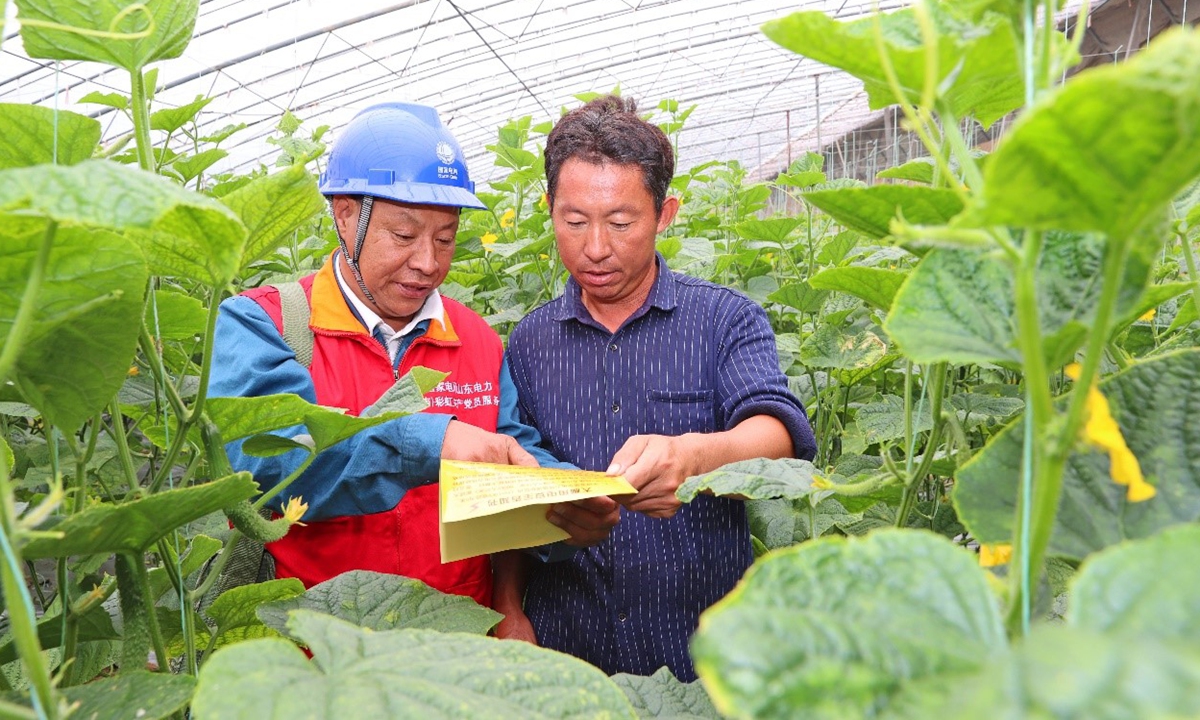 Staff provide electricity service for cucumber farmers