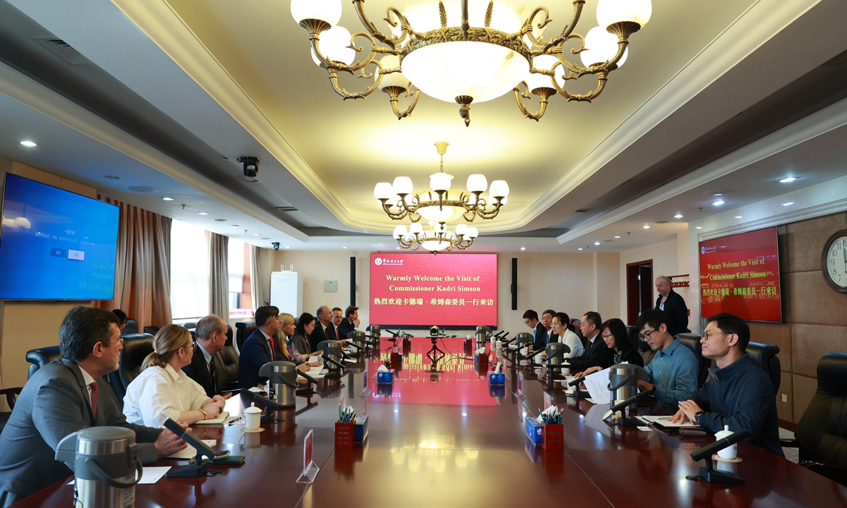 EU Commissioner for Energy Kadri Simson and delegation meet with professors at the North China Electric Power University in Beijing on October 11, 2023. Photo: Courtesy of NCEPU