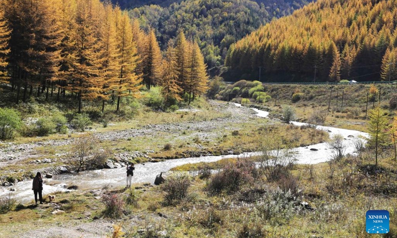 Tourists enjoy scenery in Weiyuan County, northwest China's Gansu Province, Oct. 14, 2023. (Photo:Xinhua)