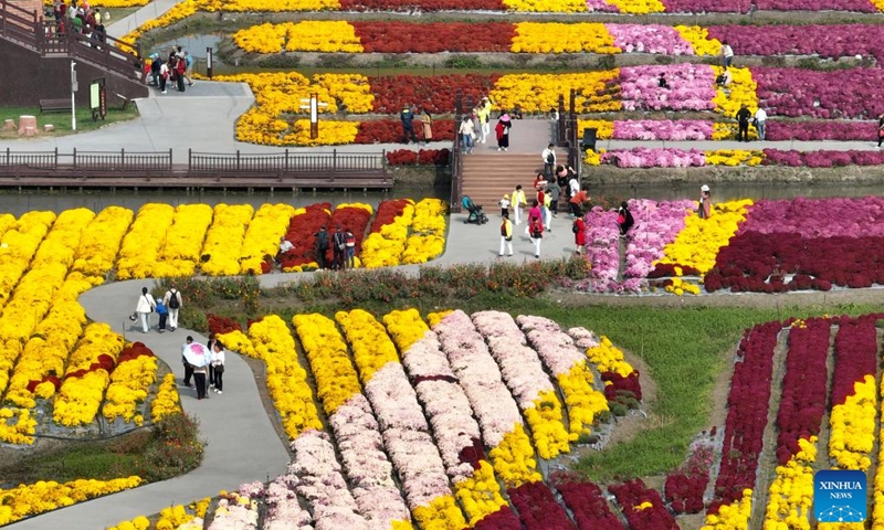 This aerial photo taken on Oct. 14, 2023 shows tourists enjoying chrysanthemum in Xinghua City, east China's Jiangsu Province. (Photo:Xinhua)