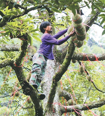 Photo: People's Daily