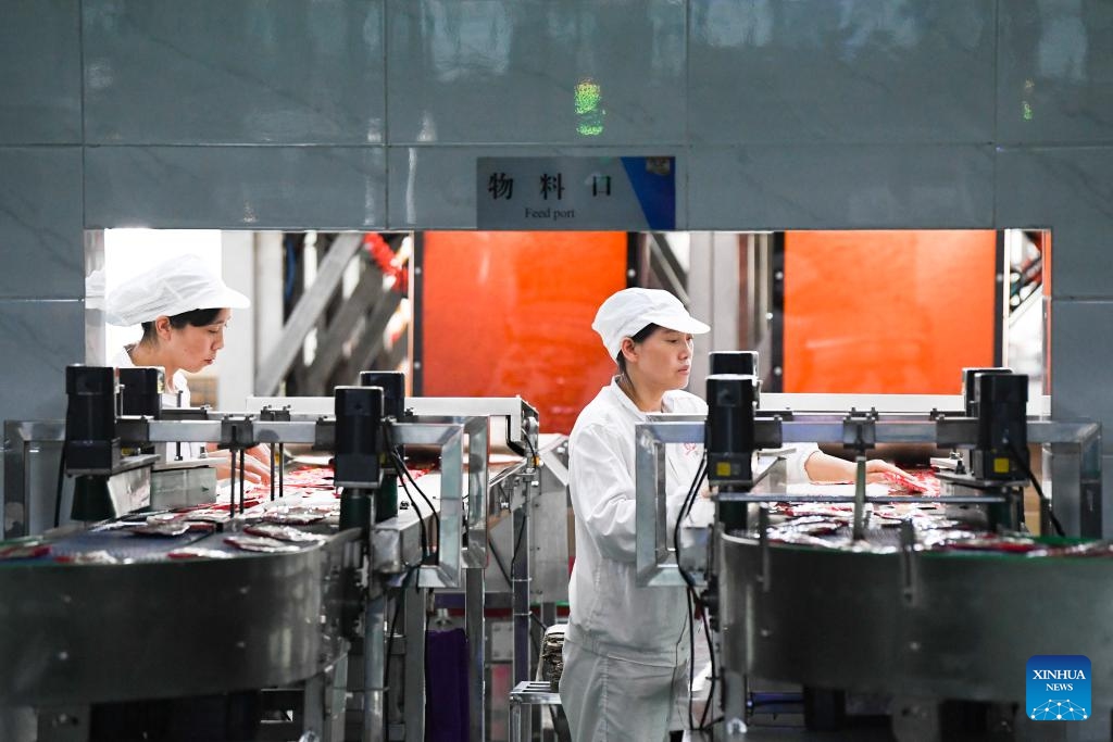 Employees work in an intelligent production workshop of Chongqing Fuling Zhacai Group Co., Ltd. in southwest China's Chongqing Municipality, Oct. 16, 2023. The history of pickle-making in Chongqing's Fuling, a major pickle production base, dates back more than 150 years. The district's traditional method of producing preserved mustard tubers was listed as a state-level intangible cultural heritage in 2008.(Photo: Xinhua)