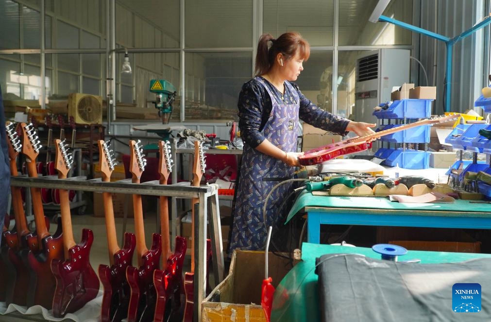 A staff member processes a guitar at Tangwu Town of Changle County, east China's Shandong Province, Oct. 17, 2023. Tangwu Town, a town boasting musical instrument production, possesses 108 musical instrument manufacturing and musical instrument accessory processing enterprises, employing over 5000 people. They produce 2 million musical instruments and 5 million instrument accessories annually, generating a main business revenue of 1 billion yuan (about 140 million U.S. dollars).(Photo: Xinhua)