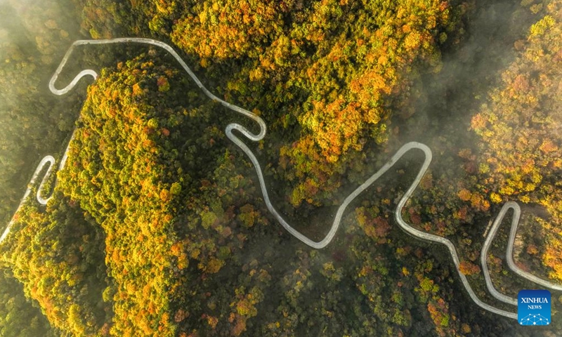 This aerial photo taken on Oct. 22, 2023 shows a scenic road in Liuba County of Hanzhong, northwest China's Shaanxi Province. (Photo: Xinhua)