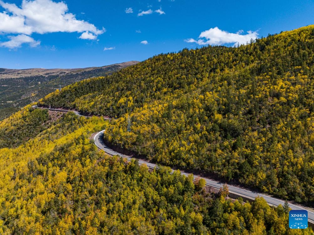 This aerial photo shows autumn scenery of Hongla Mountain in Mangkam County, Qamdo, southwest China's Tibet Autonomous Region, Oct. 20, 2023.(Photo: Xinhua)
