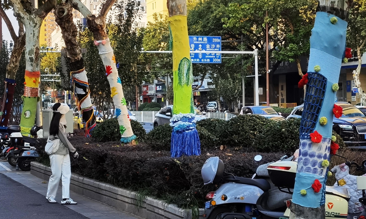 Chinese parasol trees dressed in