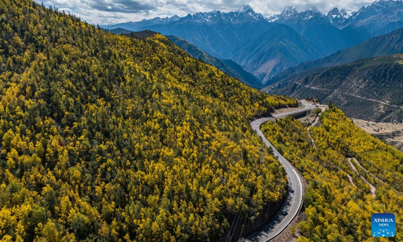 This aerial photo shows autumn scenery of Hongla Mountain in Mangkam County, Qamdo, southwest China's Tibet Autonomous Region, Oct. 20, 2023.(Photo: Xinhua)