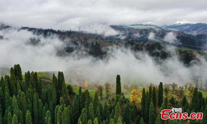 Spectacular landscape of fluffy clouds floating over Tianshan Mountains after a rainfall in northwest China's Xinjiang Uyghur Autonomous Region, Oct. 25, 2023.(Photo: ecns.cn)