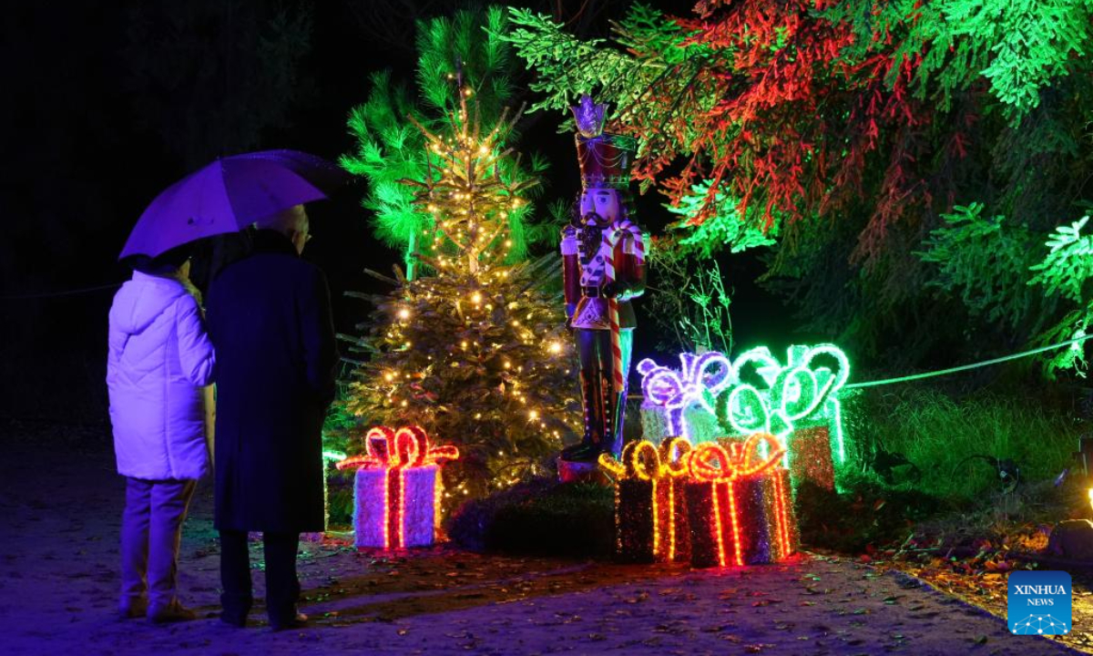 "Christmas Garden Berlin" light show kicks off - Global Times